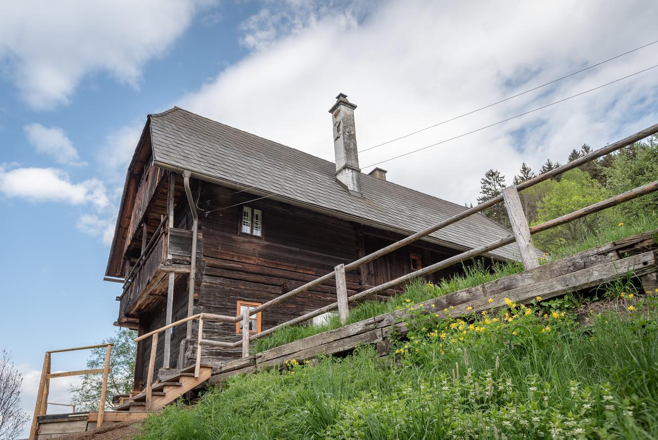 Urlaub Auf Der Alm "Deluxe" Villa Preggraben Buitenkant foto