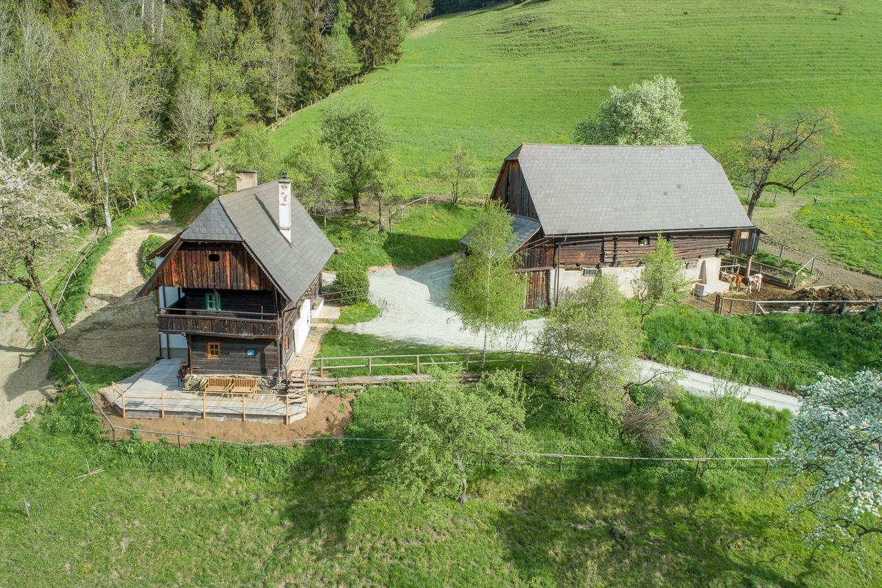 Urlaub Auf Der Alm "Deluxe" Villa Preggraben Buitenkant foto