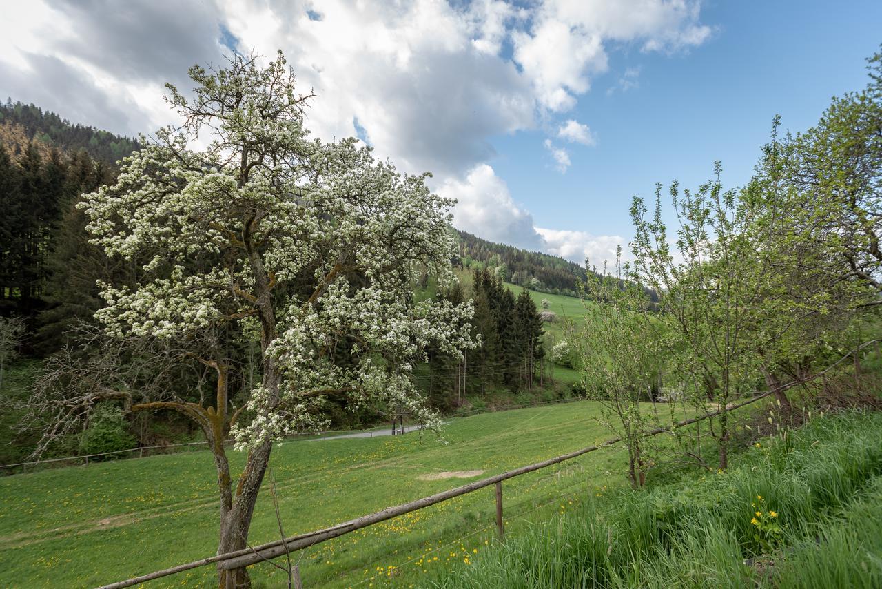 Urlaub Auf Der Alm "Deluxe" Villa Preggraben Buitenkant foto