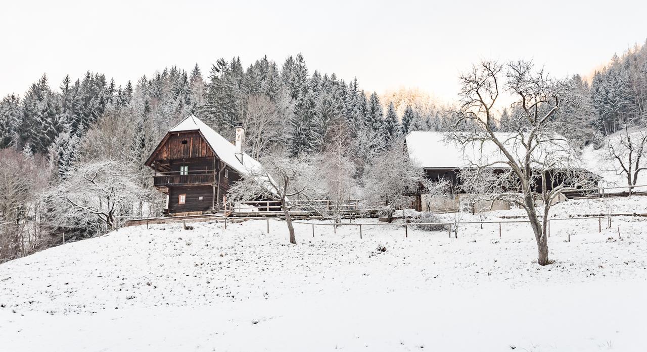 Urlaub Auf Der Alm "Deluxe" Villa Preggraben Buitenkant foto